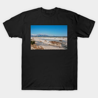 Tagliamento Floodplain T-Shirt